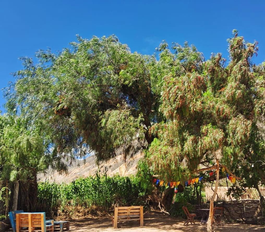 Maimará Cabanas Apu מראה חיצוני תמונה